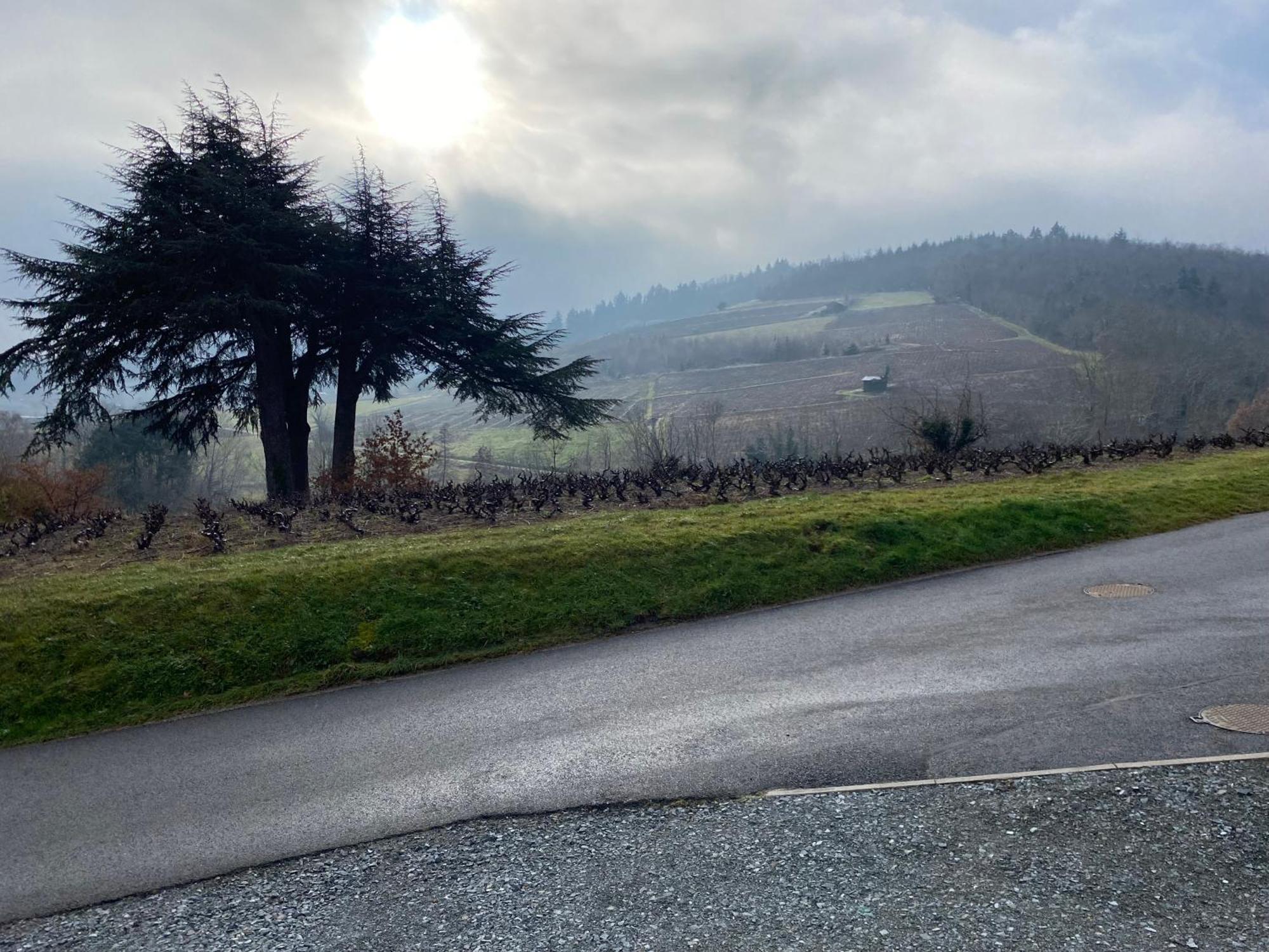Le Bouchon De Liege Villa Beaujeu  Bagian luar foto